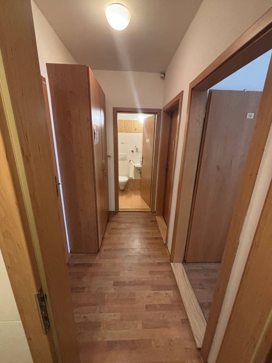 Pronájem bytu 300 m², Lublaňská, Praha, Praha Pronájem bytu 300 m², Lublaňská, Praha, Praha
