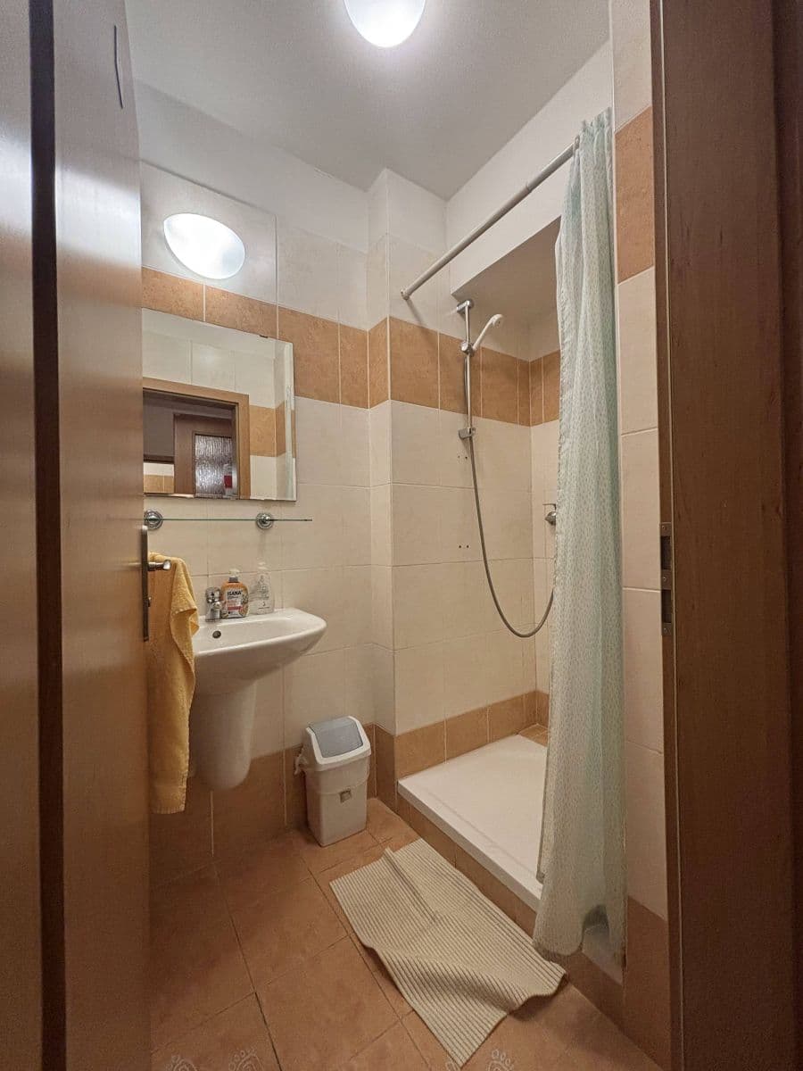 Pronájem bytu 300 m², Lublaňská, Praha, Praha Pronájem bytu 300 m², Lublaňská, Praha, Praha