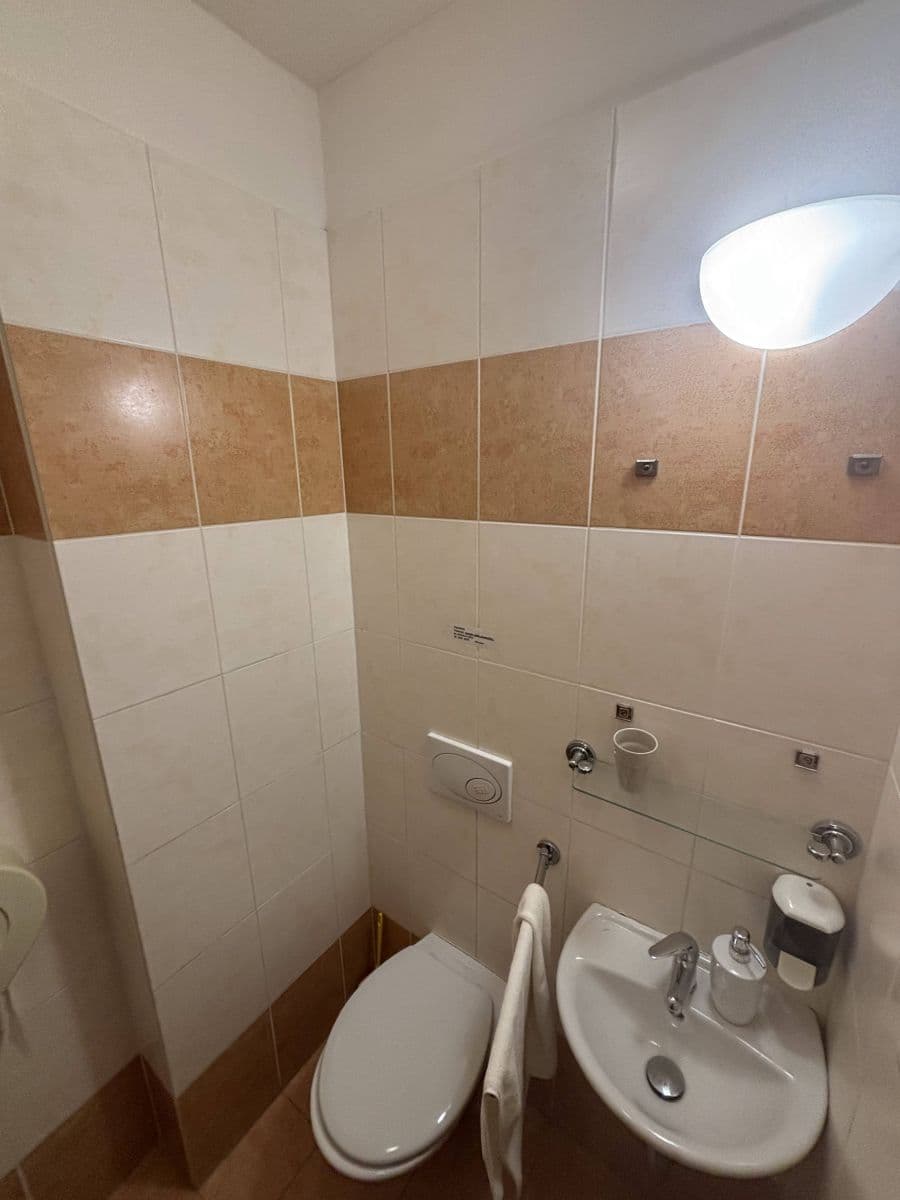 Pronájem bytu 300 m², Lublaňská, Praha, Praha Pronájem bytu 300 m², Lublaňská, Praha, Praha