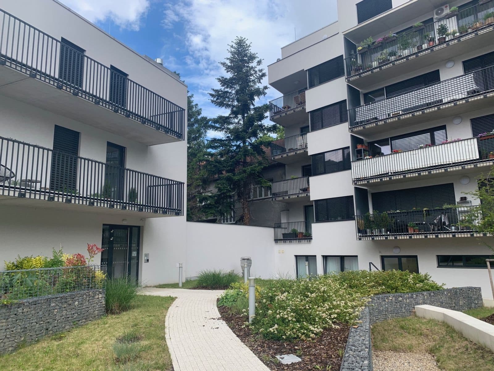 Pronájem bytu 1+kk 25 m², Kollárova, Brno, Jihomoravský kraj Pronájem bytu 1+kk 25 m², Kollárova, Brno, Jihomoravský kraj