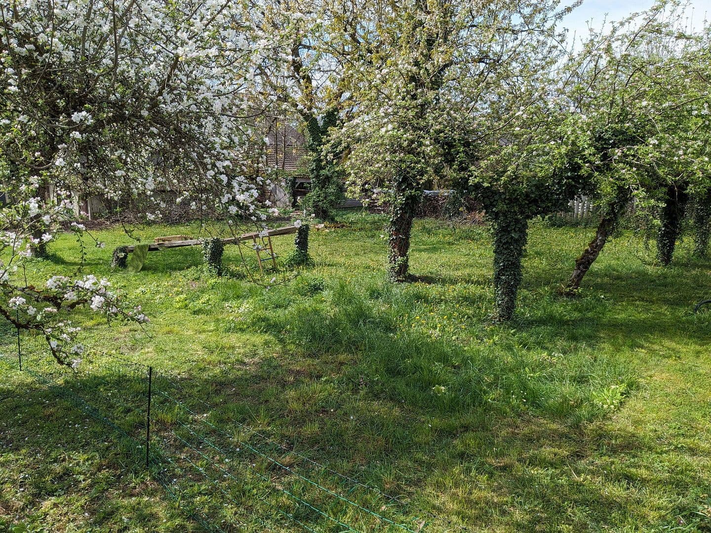 Prodej pozemku 1.026 m², Gailingen am Hochrhein, Bádensko-Württembersko Prodej pozemku 1.026 m², Gailingen am Hochrhein, Bádensko-Württembersko