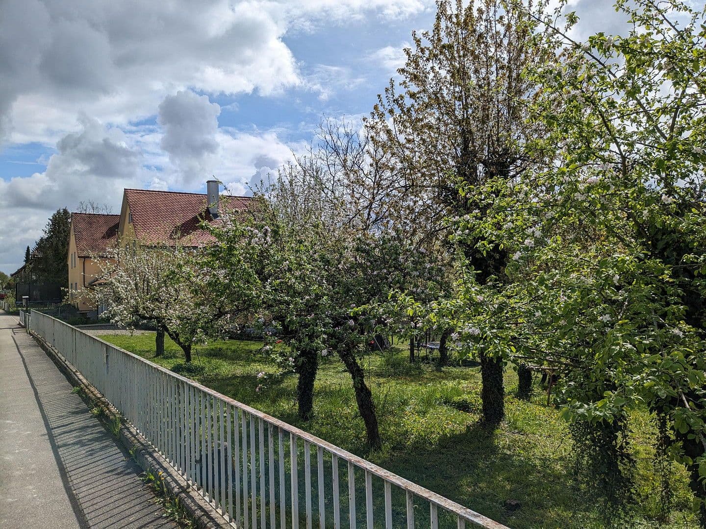 Prodej pozemku 1.026 m², Gailingen am Hochrhein, Bádensko-Württembersko Prodej pozemku 1.026 m², Gailingen am Hochrhein, Bádensko-Württembersko