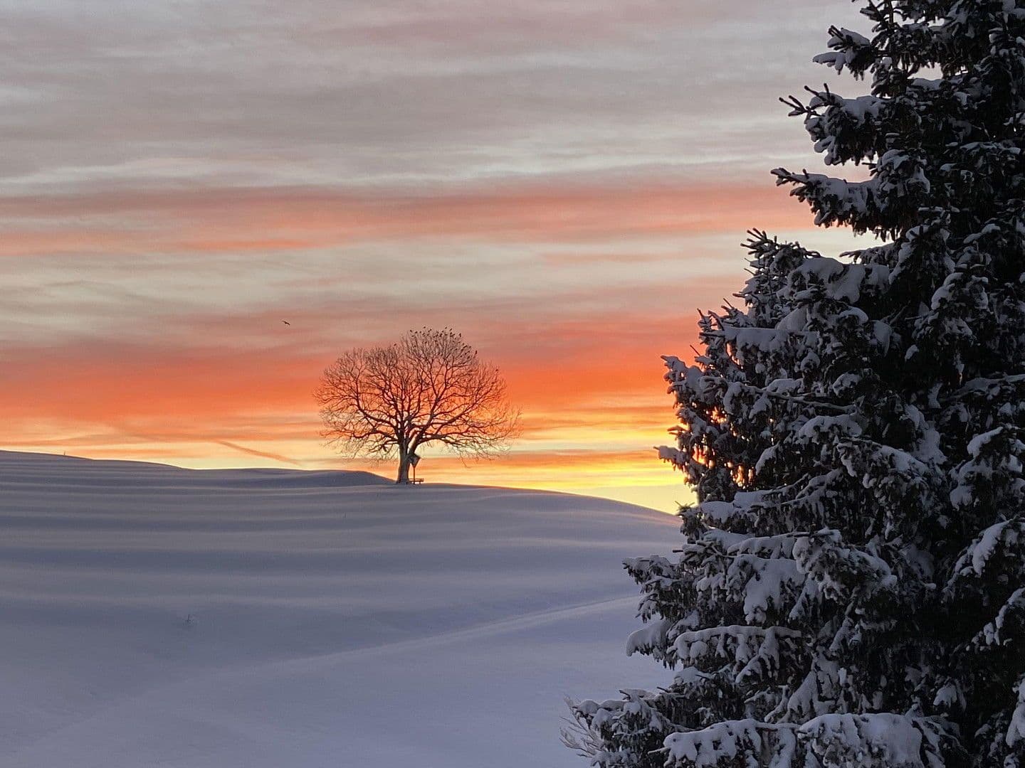 Prodej bytu 4+1 106 m², Mühlhalde 1, Missen-Wilhams, Bavorsko Prodej bytu 4+1 106 m², Mühlhalde 1, Missen-Wilhams, Bavorsko