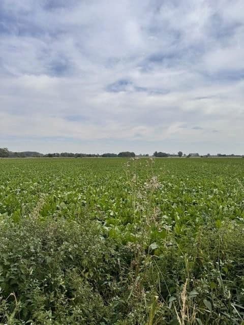 Prodej pozemku 5.696 m², Hauptstr.103, Beckedorf, Dolní Sasko Prodej pozemku 5.696 m², Hauptstr.103, Beckedorf, Dolní Sasko