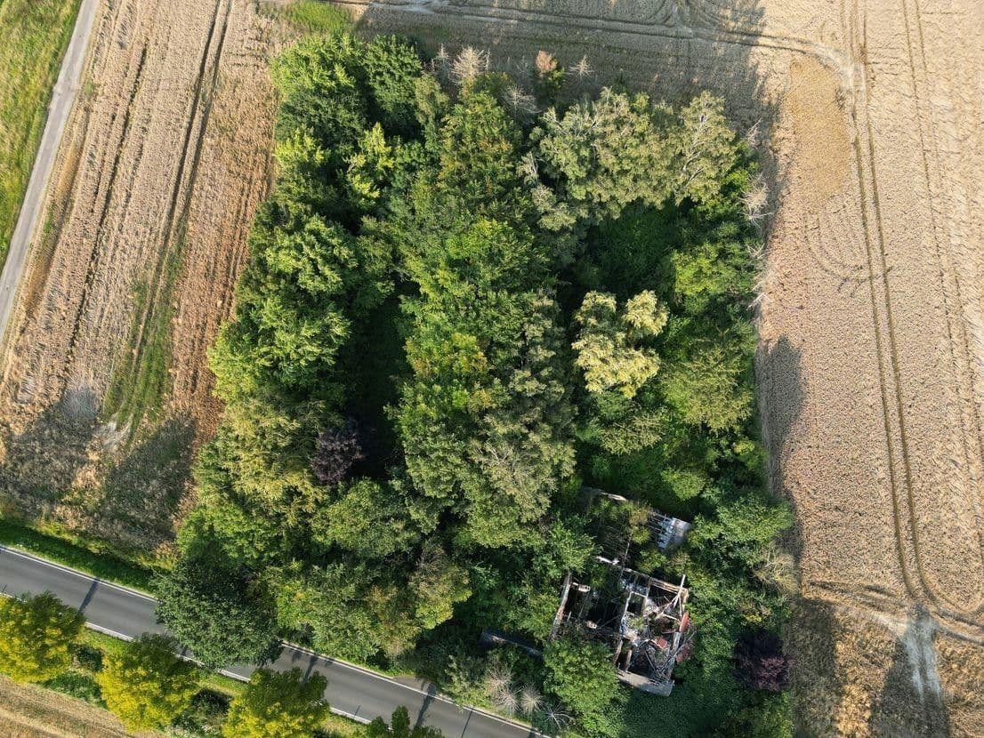 Prodej pozemku 5.696 m², Hauptstr.103, Beckedorf, Dolní Sasko Prodej pozemku 5.696 m², Hauptstr.103, Beckedorf, Dolní Sasko