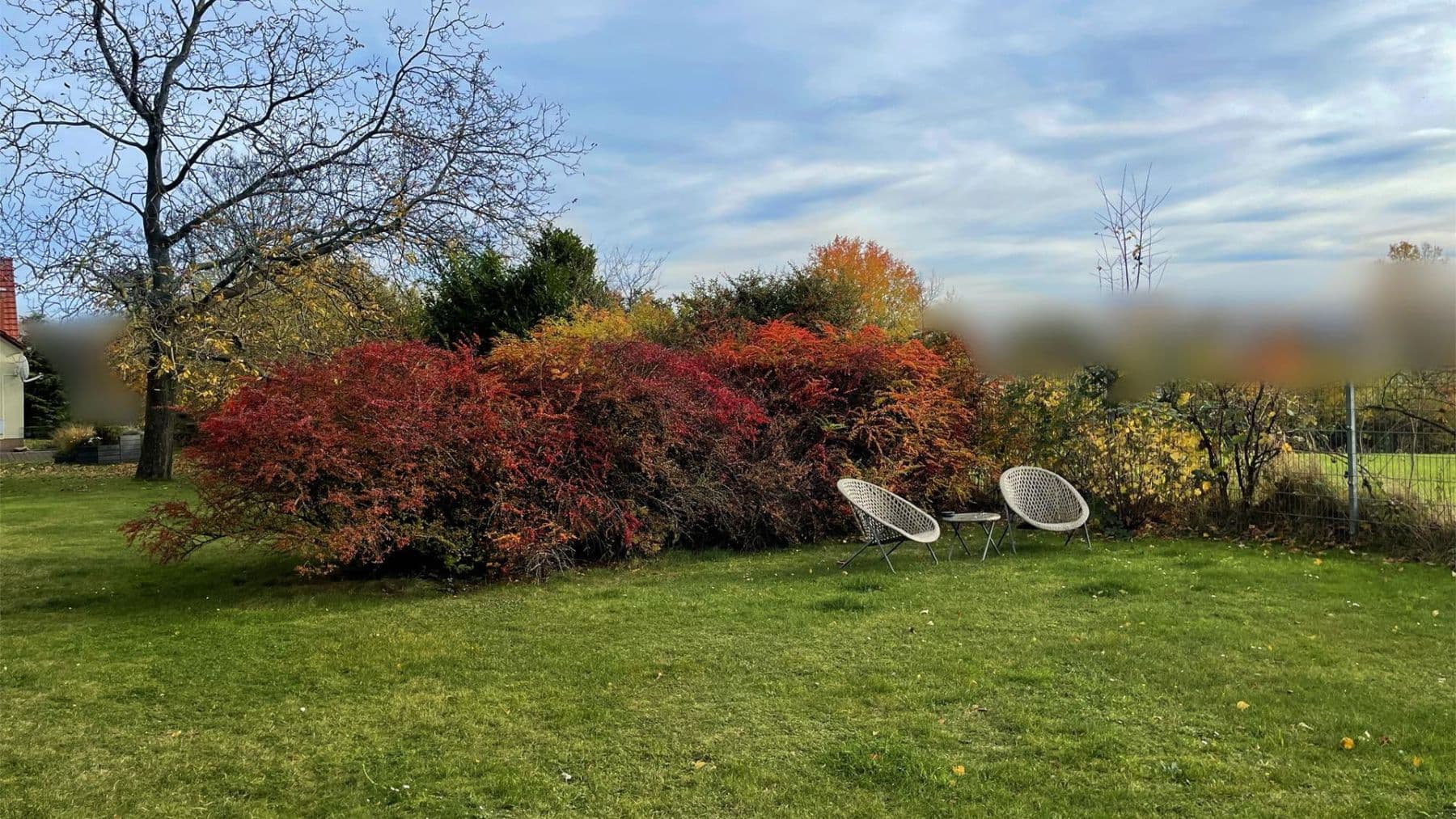 Prodej domu 329 m², pozemek 2.770 m², Holländerweg 46, Döbeln, Sasko Prodej domu 329 m², pozemek 2.770 m², Holländerweg 46, Döbeln, Sasko