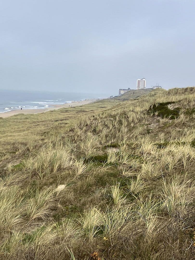 Prodej bytu 2+1 36 m², Sylt, Šlesvicko-Holštýnsko Prodej bytu 2+1 36 m², Sylt, Šlesvicko-Holštýnsko