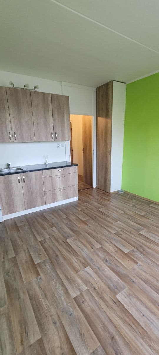 Pronájem bytu 1+1 35 m², Komenského, Plzeň, Plzeňský kraj Pronájem bytu 1+1 35 m², Komenského, Plzeň, Plzeňský kraj