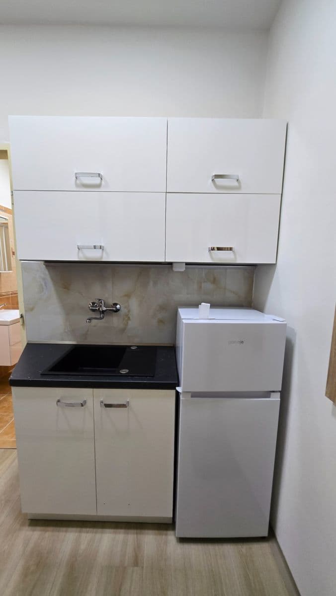 Pronájem bytu 1+kk 30 m², Vrchlického, Praha, Praha Pronájem bytu 1+kk 30 m², Vrchlického, Praha, Praha
