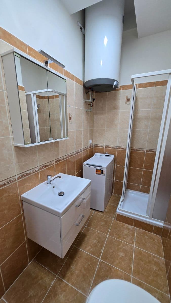 Pronájem bytu 1+kk 30 m², Vrchlického, Praha, Praha Pronájem bytu 1+kk 30 m², Vrchlického, Praha, Praha