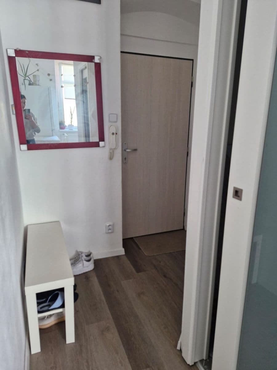 Pronájem bytu 1+1 32 m², Houškova, Plzeň, Plzeňský kraj Pronájem bytu 1+1 32 m², Houškova, Plzeň, Plzeňský kraj