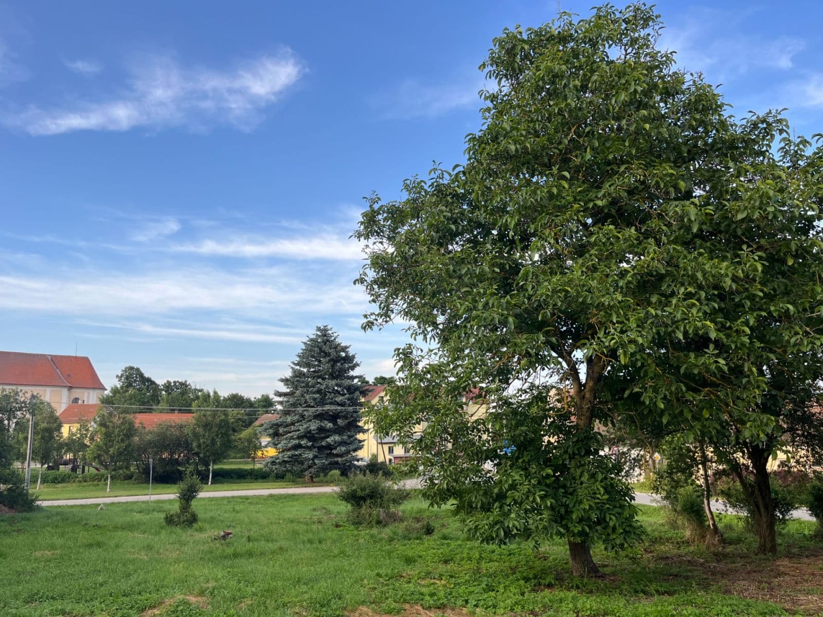 Prodej pozemku 1.114 m², Dešná, Jihočeský kraj Prodej pozemku 1.114 m², Dešná, Jihočeský kraj