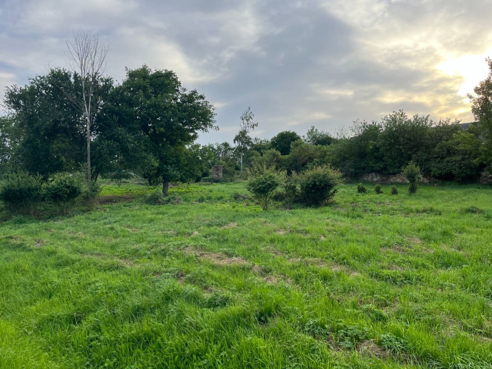 Prodej pozemku 1.114 m², Dešná, Jihočeský kraj Prodej pozemku 1.114 m², Dešná, Jihočeský kraj