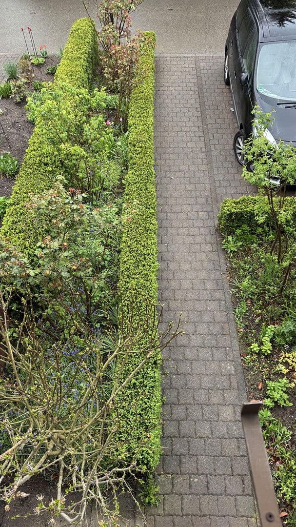 Prodej domu 130 m², pozemek 535 m², Aue-Bad Schlema, Sasko Prodej domu 130 m², pozemek 535 m², Aue-Bad Schlema, Sasko