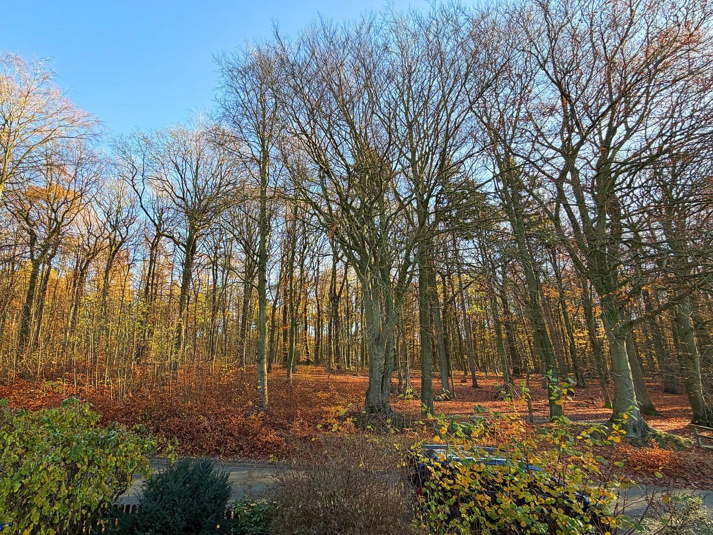 Prodej domu 131 m², pozemek 521 m², Höpenweg 9, Seevetal, Dolní Sasko Prodej domu 131 m², pozemek 521 m², Höpenweg 9, Seevetal, Dolní Sasko