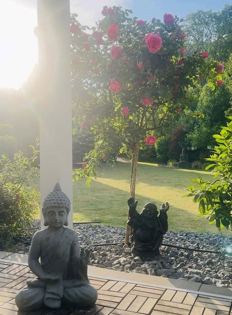 Prodej domu 280 m², pozemek 709 m², Korschenbroich, Severní Porýní-Vestfálsko Prodej domu 280 m², pozemek 709 m², Korschenbroich, Severní Porýní-Vestfálsko