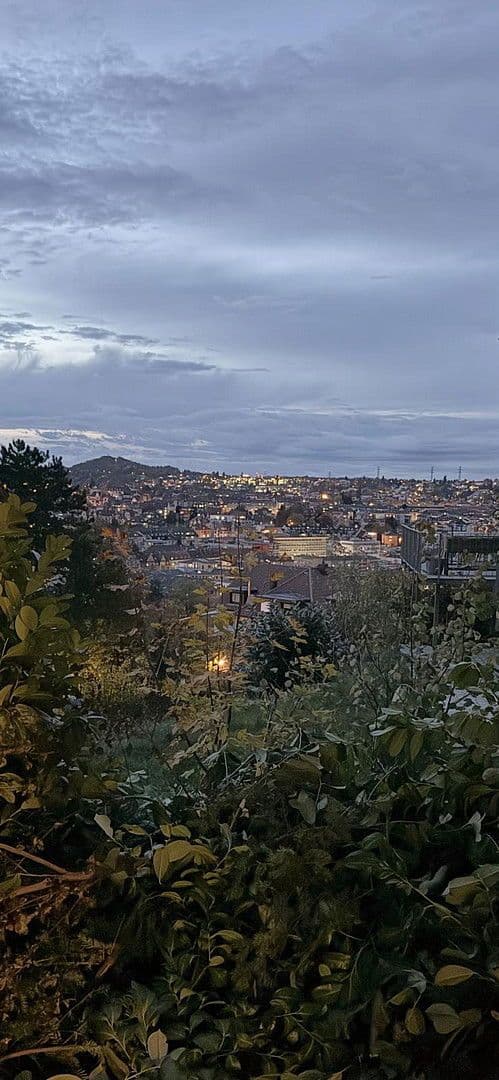 Prodej bytu 4+1 169 m², Pforzheim, Bádensko-Württembersko Prodej bytu 4+1 169 m², Pforzheim, Bádensko-Württembersko