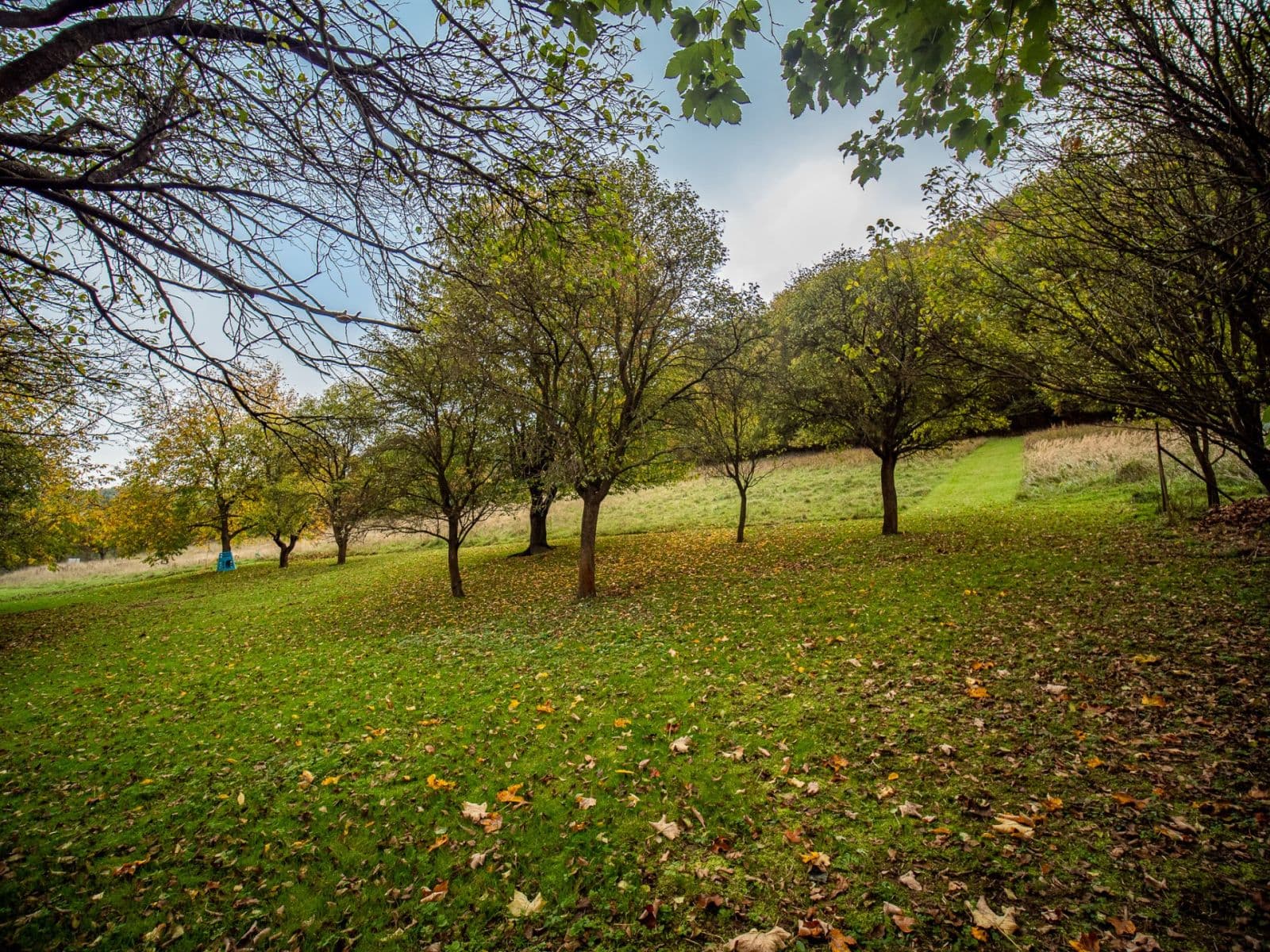 Prodej pozemku 13.313 m², Trnava, Zlínský kraj Prodej pozemku 13.313 m², Trnava, Zlínský kraj