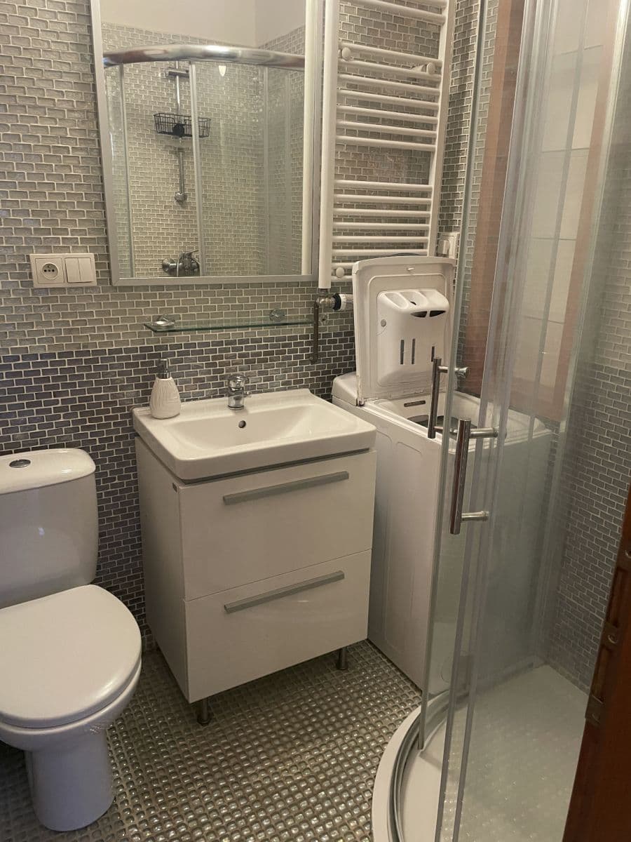 Pronájem bytu 1+kk 30 m², V Olšinách, Praha, Praha Pronájem bytu 1+kk 30 m², V Olšinách, Praha, Praha