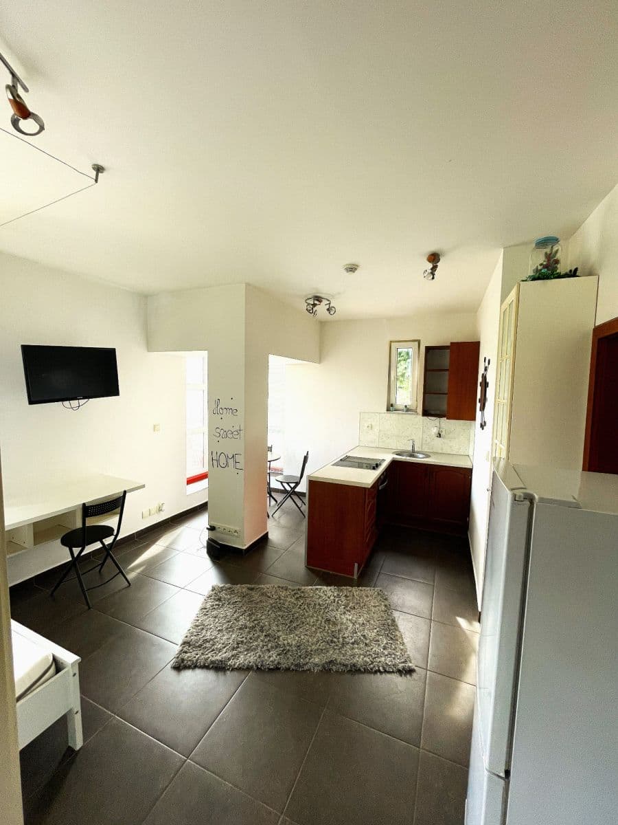 Pronájem bytu 1+kk 30 m², V Olšinách, Praha, Praha Pronájem bytu 1+kk 30 m², V Olšinách, Praha, Praha