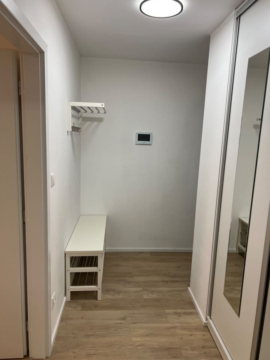 Pronájem bytu 1+kk 30 m², Auerswaldova, Brno, Jihomoravský kraj Pronájem bytu 1+kk 30 m², Auerswaldova, Brno, Jihomoravský kraj