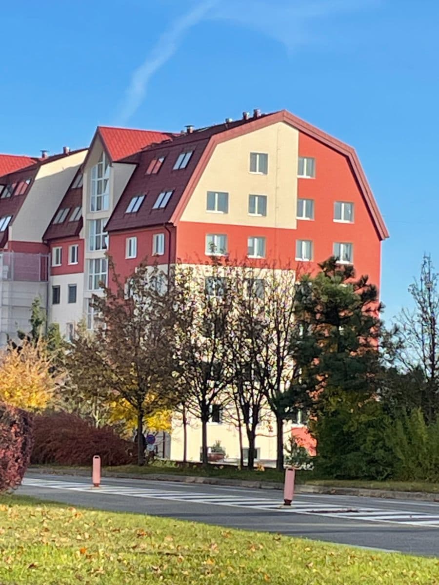 Pronájem bytu 1+kk 35 m², Molákova, Brno, Jihomoravský kraj Pronájem bytu 1+kk 35 m², Molákova, Brno, Jihomoravský kraj
