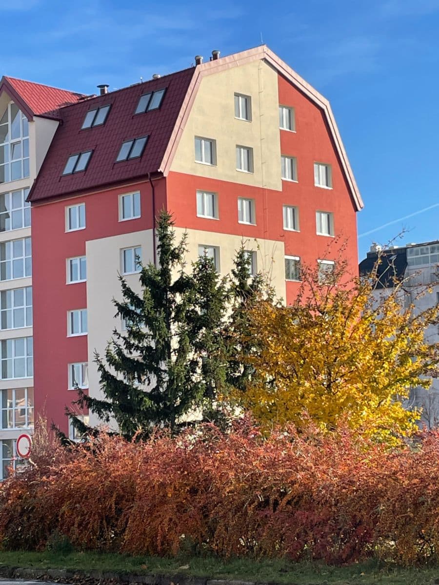 Pronájem bytu 1+kk 35 m², Molákova, Brno, Jihomoravský kraj Pronájem bytu 1+kk 35 m², Molákova, Brno, Jihomoravský kraj