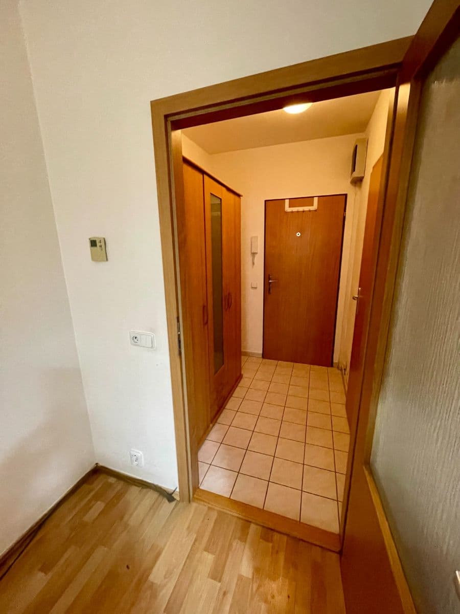 Pronájem bytu 1+kk 35 m², Molákova, Brno, Jihomoravský kraj Pronájem bytu 1+kk 35 m², Molákova, Brno, Jihomoravský kraj