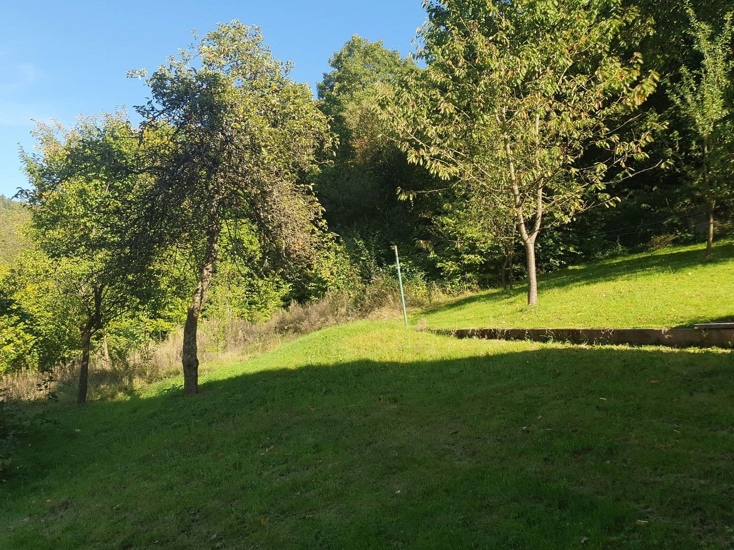 Prodej domu 260 m², pozemek 1.183 m², Häglesweg 14, Neuenbürg, Bádensko-Württembersko Prodej domu 260 m², pozemek 1.183 m², Häglesweg 14, Neuenbürg, Bádensko-Württembersko