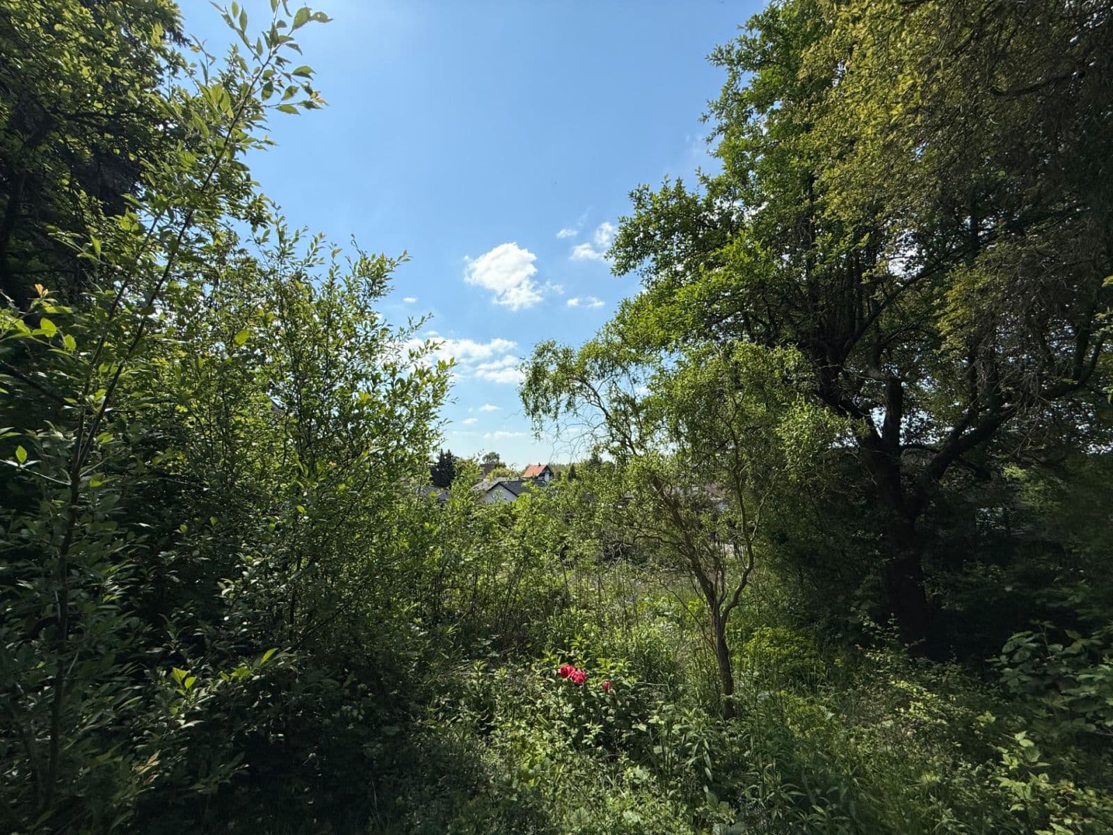 Prodej pozemku 1.016 m², Vlnitá, Jílové u Prahy, Středočeský kraj Prodej pozemku 1.016 m², Vlnitá, Jílové u Prahy, Středočeský kraj