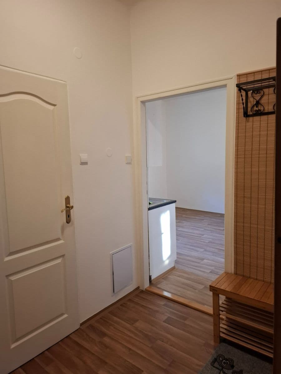 Pronájem bytu 1+1 48 m², Javorová, Praha, Praha Pronájem bytu 1+1 48 m², Javorová, Praha, Praha