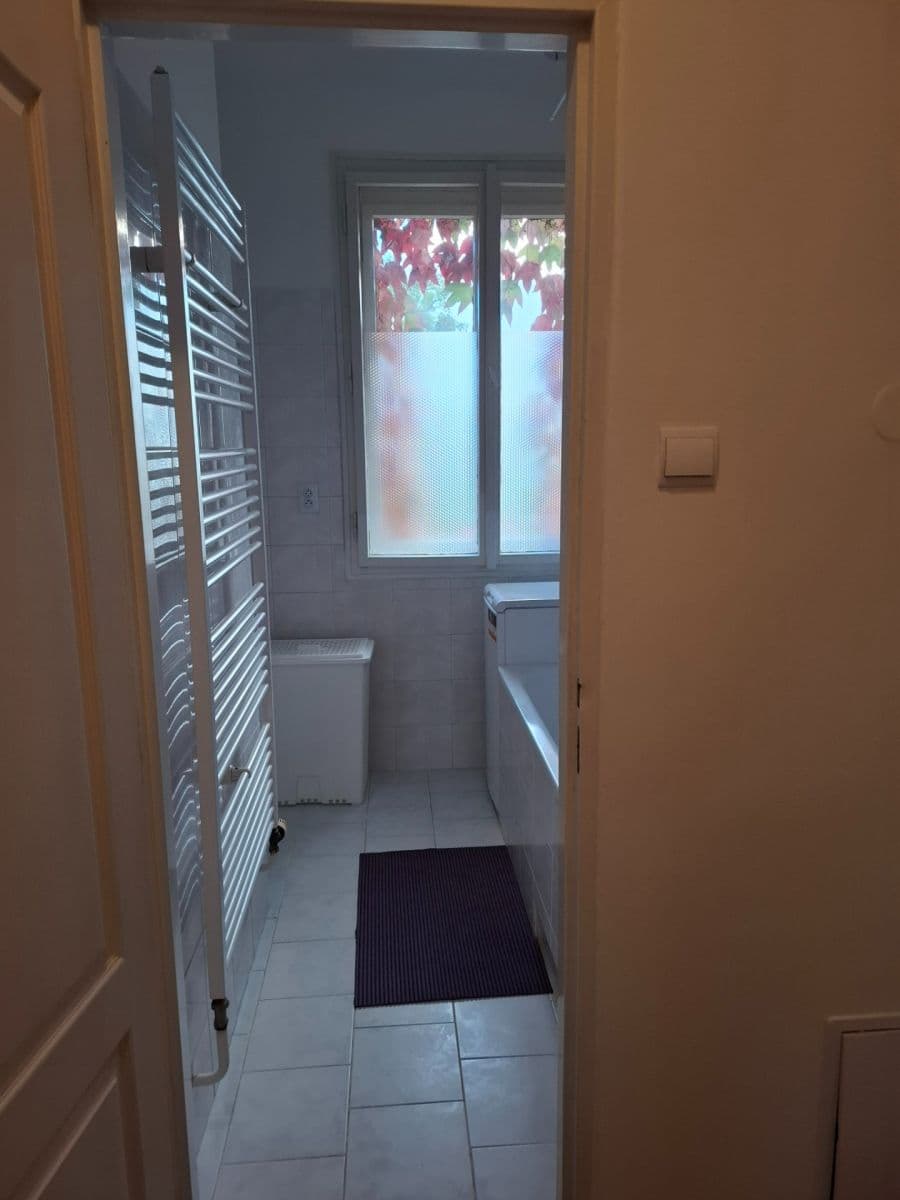 Pronájem bytu 1+1 48 m², Javorová, Praha, Praha Pronájem bytu 1+1 48 m², Javorová, Praha, Praha