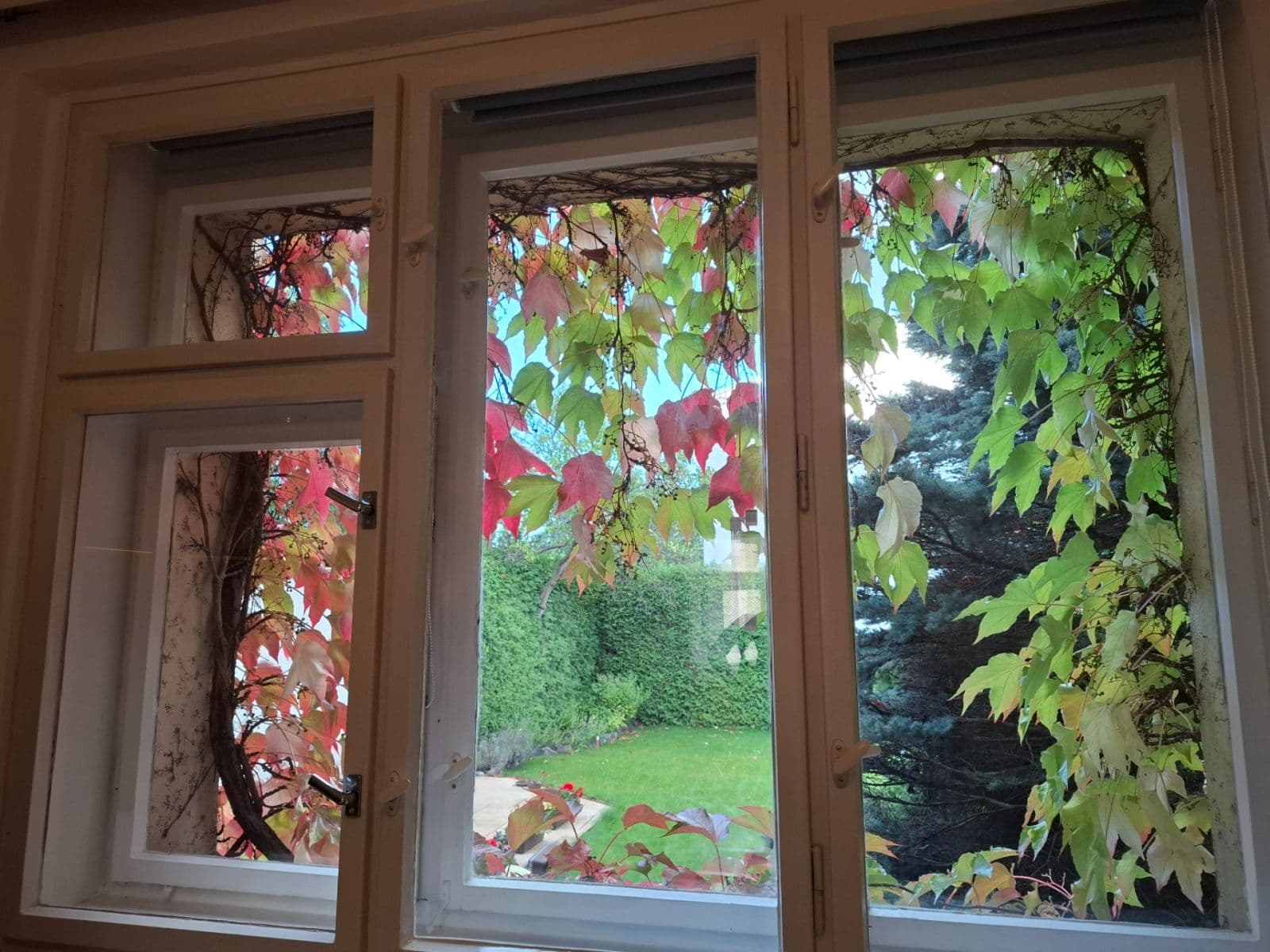 Pronájem bytu 1+1 48 m², Javorová, Praha, Praha Pronájem bytu 1+1 48 m², Javorová, Praha, Praha