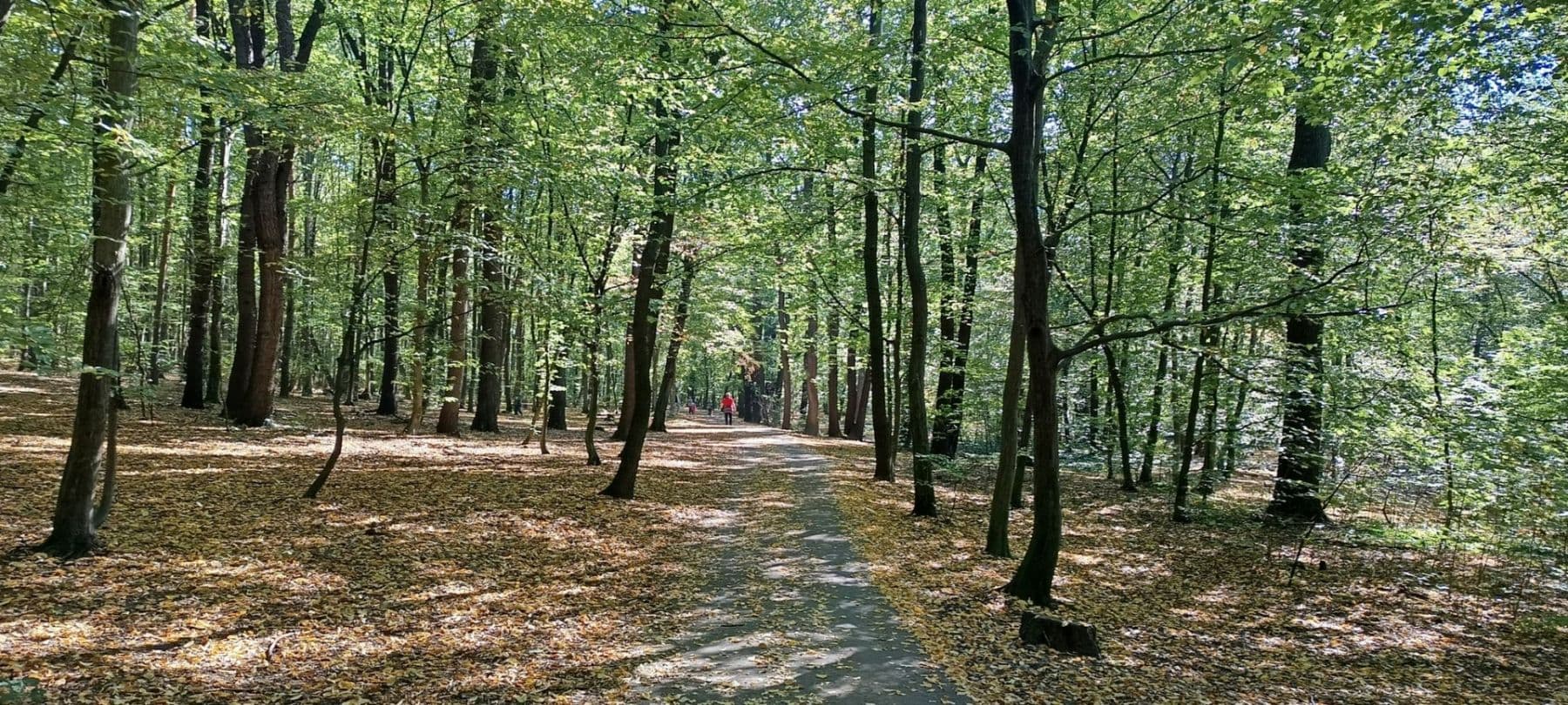 Pronájem bytu 1+1 48 m², Javorová, Praha, Praha Pronájem bytu 1+1 48 m², Javorová, Praha, Praha