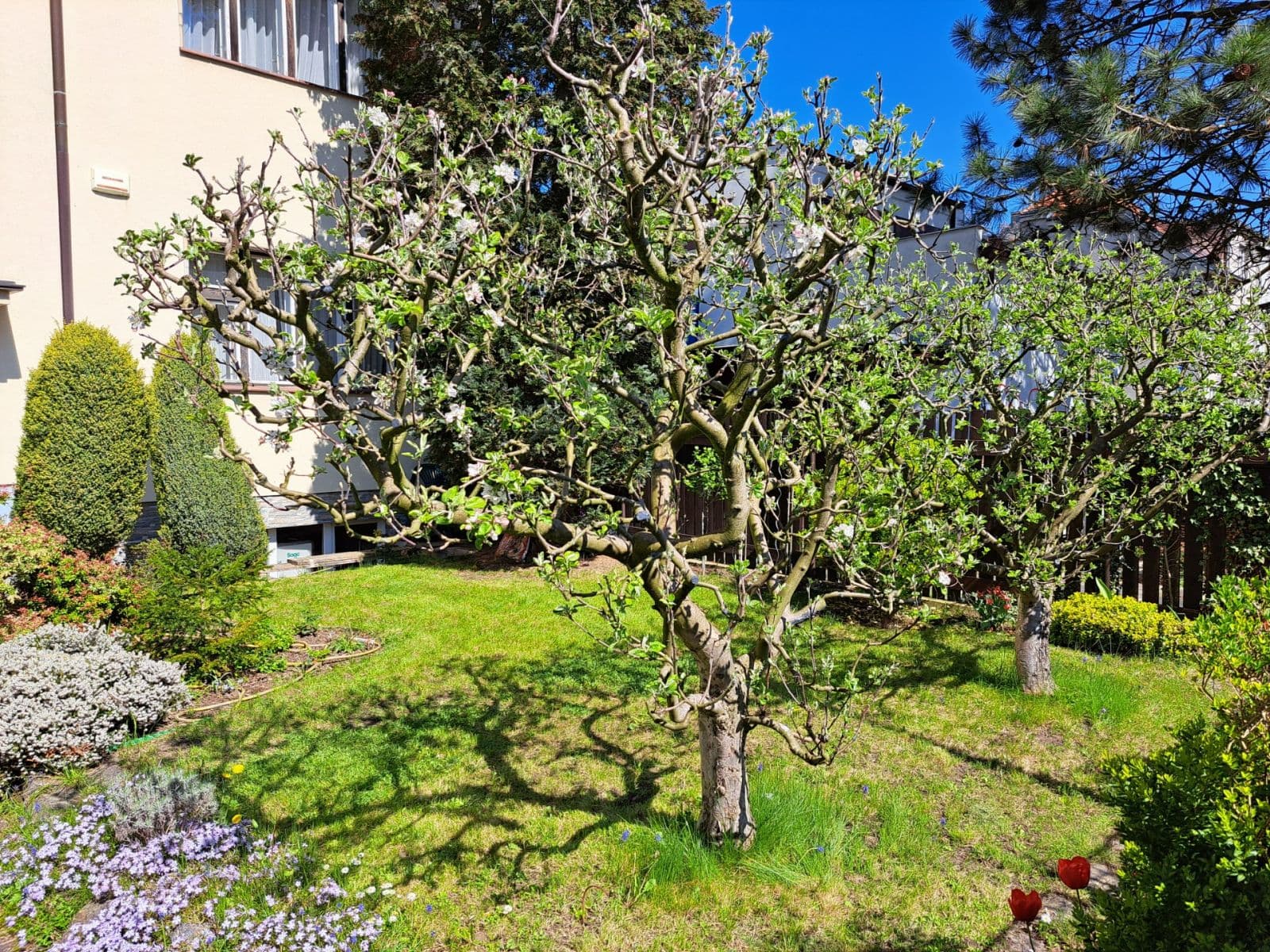 Pronájem bytu 1+1 48 m², Javorová, Praha, Praha Pronájem bytu 1+1 48 m², Javorová, Praha, Praha