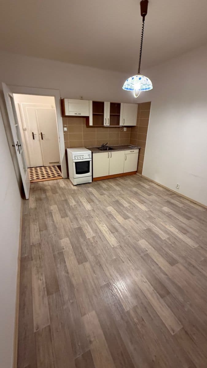 Pronájem bytu 1+1 47 m², Havlíčkova, Plzeň, Plzeňský kraj Pronájem bytu 1+1 47 m², Havlíčkova, Plzeň, Plzeňský kraj