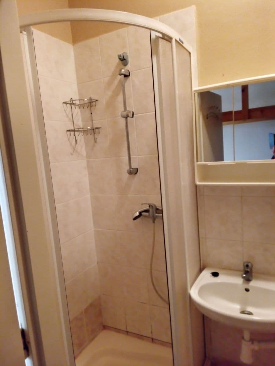Pronájem bytu 1+kk 14 m², Pekařská, Olomouc, Olomoucký kraj Pronájem bytu 1+kk 14 m², Pekařská, Olomouc, Olomoucký kraj