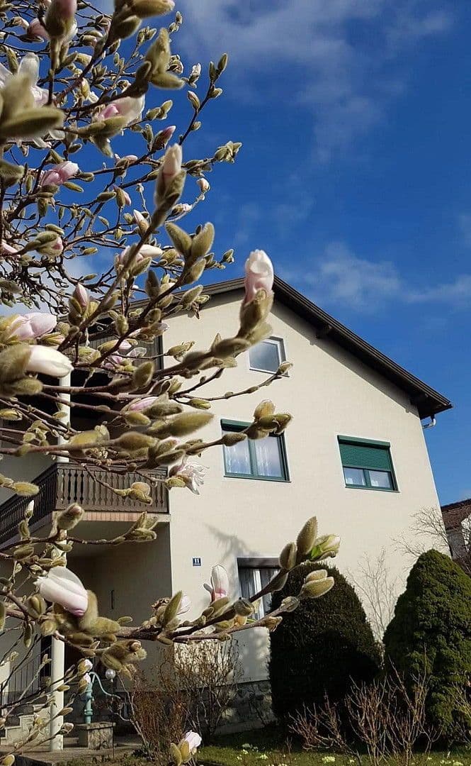 Prodej domu 143 m², pozemek 539 m², Pinkafeld, Hradsko Prodej domu 143 m², pozemek 539 m², Pinkafeld, Hradsko