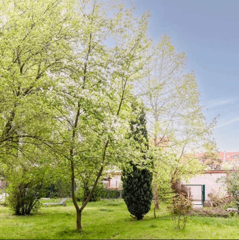 Pronájem bytu 2+1 64 m², Berlin, Berlín Pronájem bytu 2+1 64 m², Berlin, Berlín