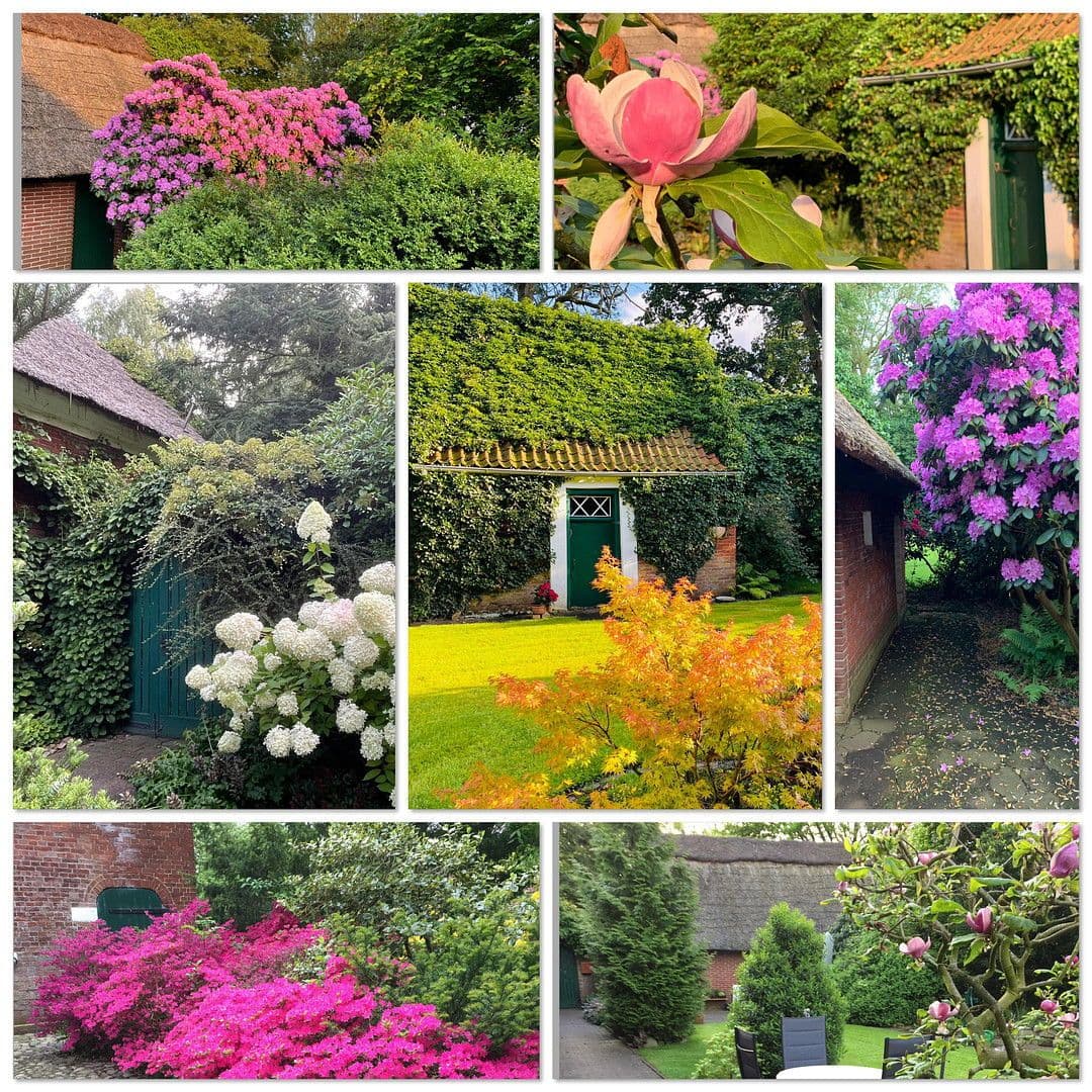 Prodej domu 350 m², pozemek 6.000 m², Hagen im Bremischen, Dolní Sasko Prodej domu 350 m², pozemek 6.000 m², Hagen im Bremischen, Dolní Sasko