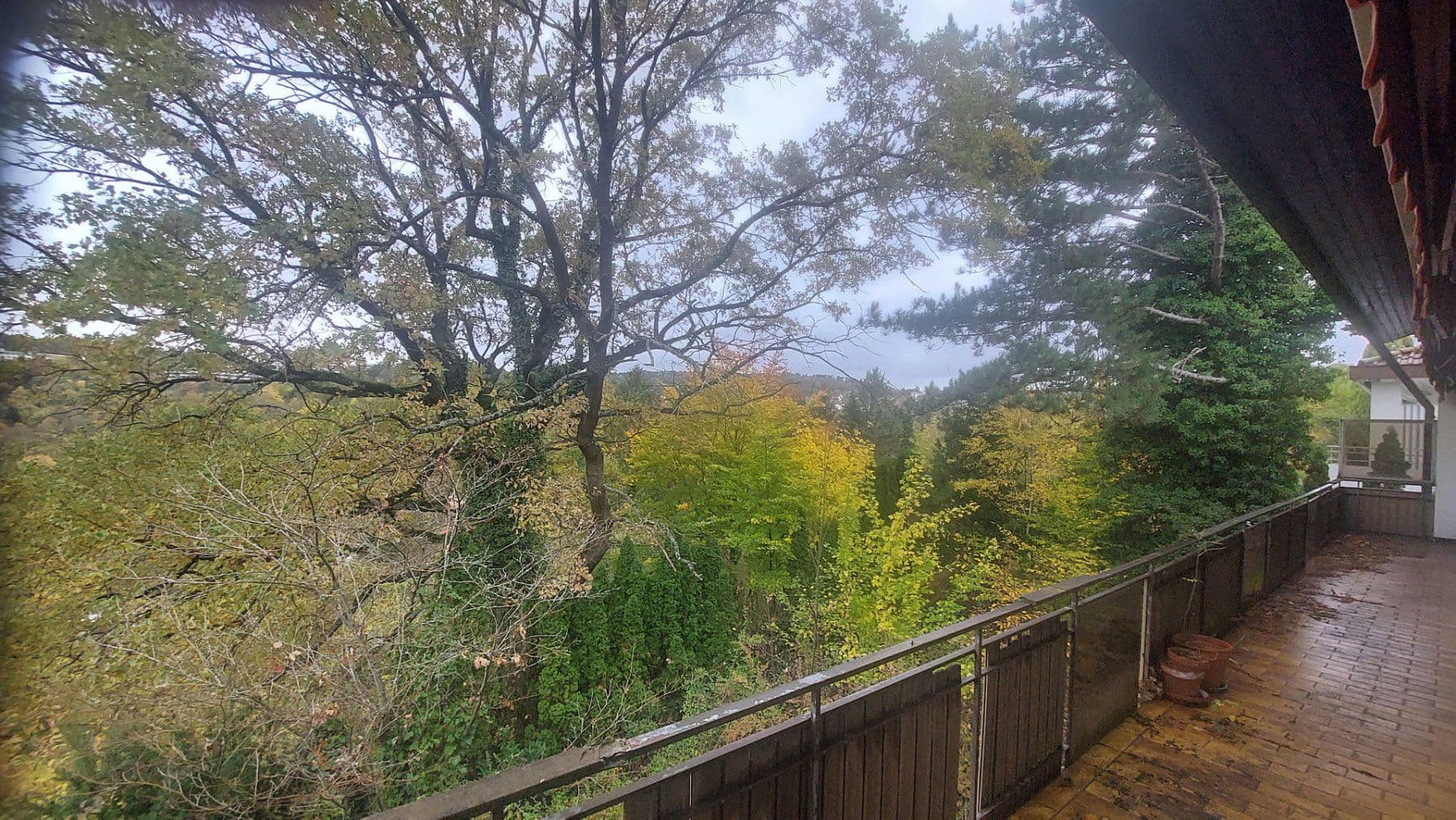 Prodej domu 378 m², pozemek 1.537 m², Engelfriedshalde 45, Tübingen, Bádensko-Württembersko Prodej domu 378 m², pozemek 1.537 m², Engelfriedshalde 45, Tübingen, Bádensko-Württembersko