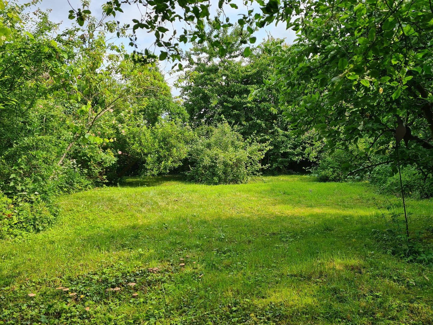 Prodej domu 540 m², pozemek 1.706 m², Lemgow, Dolní Sasko Prodej domu 540 m², pozemek 1.706 m², Lemgow, Dolní Sasko