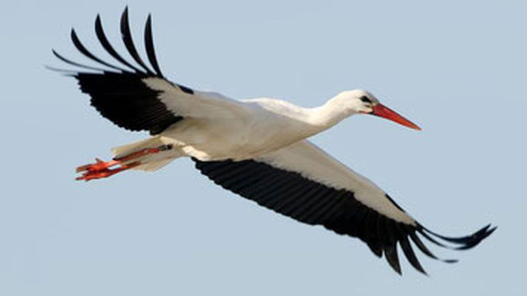 Pronájem bytu 3+1 73 m², Strasse am Uckersee 13, Nordwestuckermark, Braniborsko Pronájem bytu 3+1 73 m², Strasse am Uckersee 13, Nordwestuckermark, Braniborsko