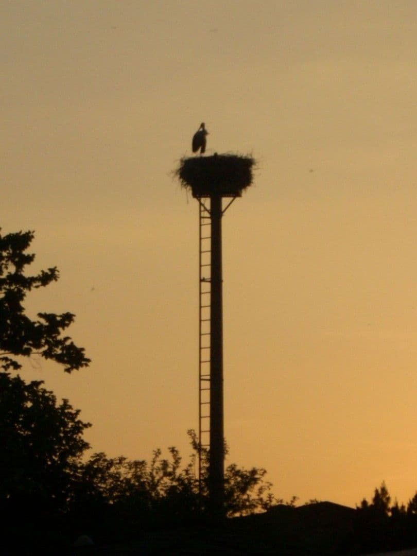 Pronájem bytu 3+1 73 m², Strasse am Uckersee 13, Nordwestuckermark, Braniborsko Pronájem bytu 3+1 73 m², Strasse am Uckersee 13, Nordwestuckermark, Braniborsko