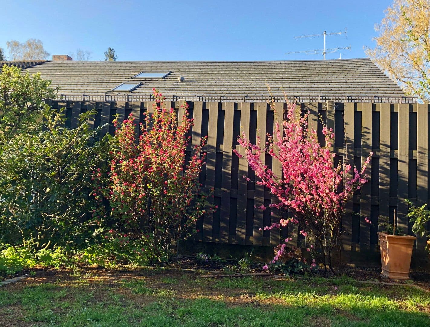 Pronájem domu 171 m², pozemek 193 m², Baldham, Bavorsko Pronájem domu 171 m², pozemek 193 m², Baldham, Bavorsko