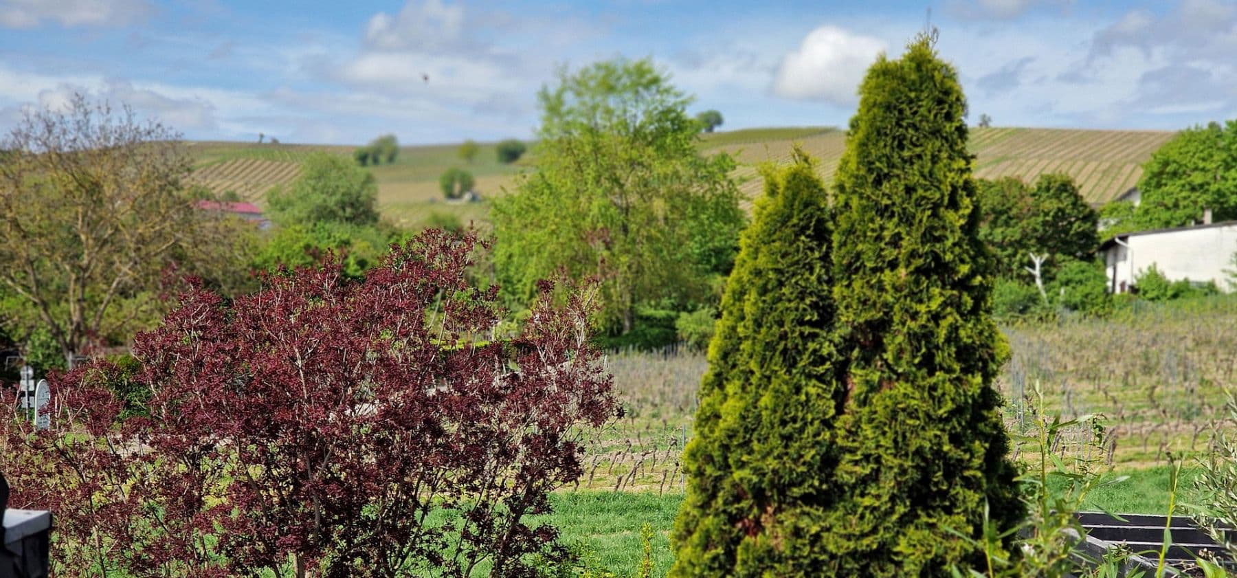 Pronájem bytu 2+1 52 m², Bodenheim, Porýní-Falc Pronájem bytu 2+1 52 m², Bodenheim, Porýní-Falc