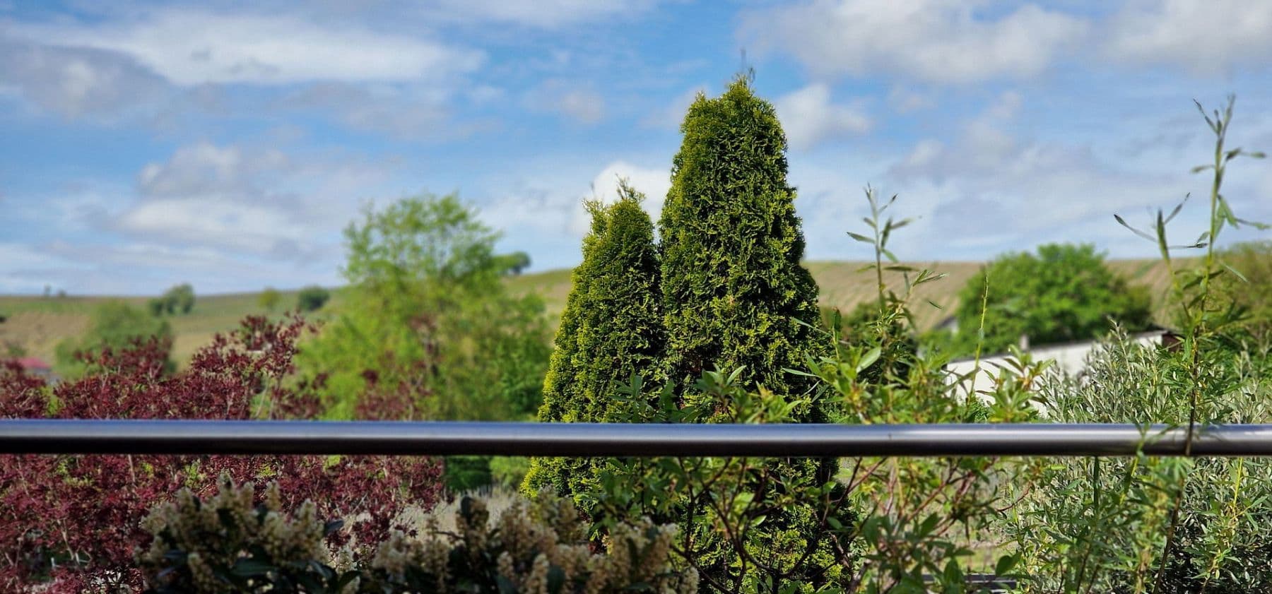 Pronájem bytu 2+1 52 m², Bodenheim, Porýní-Falc Pronájem bytu 2+1 52 m², Bodenheim, Porýní-Falc