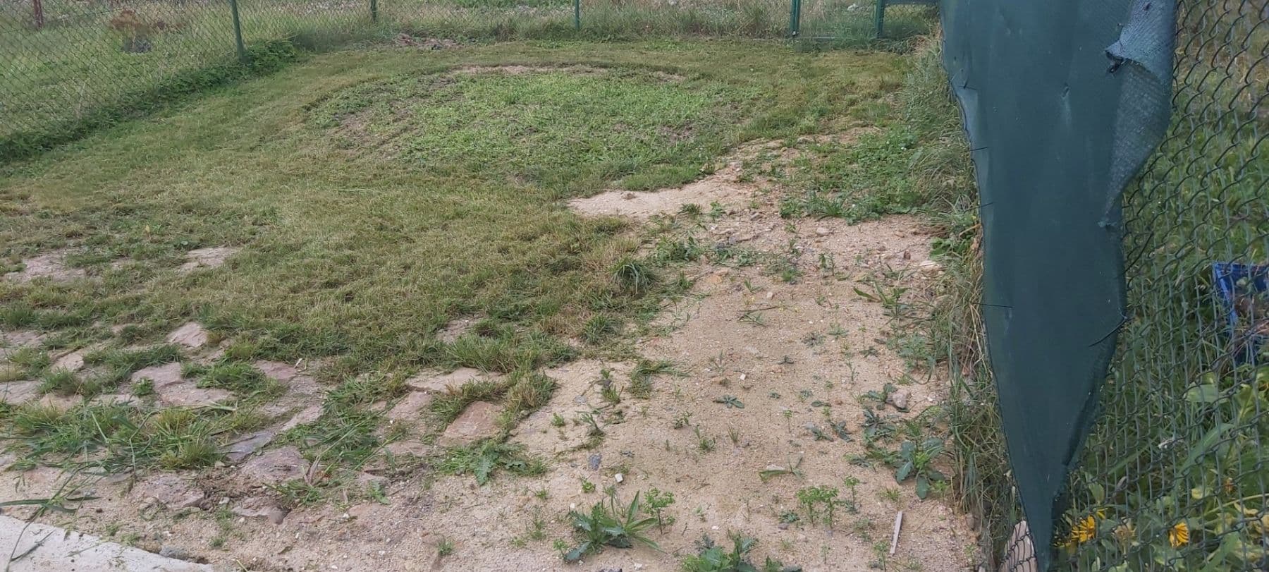 Pronájem chaty, chalupy 16 m², pozemek 179 m², Příbramská, Rokycany, Plzeňský kraj Pronájem chaty, chalupy 16 m², pozemek 179 m², Příbramská, Rokycany, Plzeňský kraj