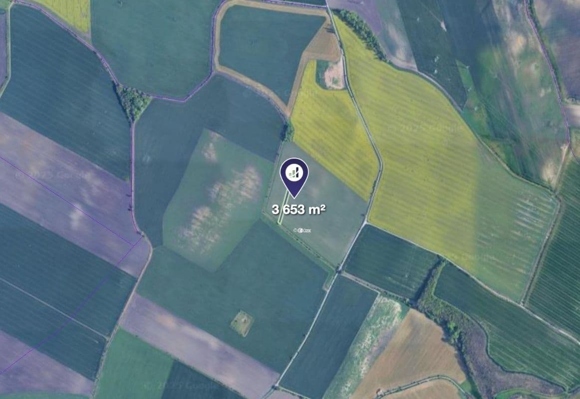 Prodej pozemku 3.653 m², Těšany, Jihomoravský kraj Prodej pozemku 3.653 m², Těšany, Jihomoravský kraj