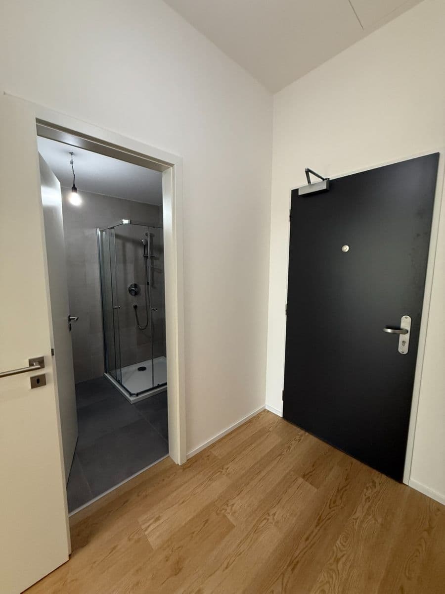 Pronájem bytu 1+kk 35 m², třída Generála Píky, Brno, Jihomoravský kraj Pronájem bytu 1+kk 35 m², třída Generála Píky, Brno, Jihomoravský kraj
